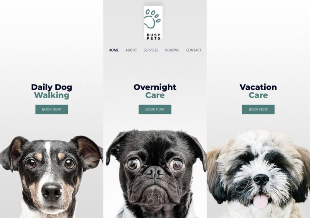 Dog care services webpage with booking options.